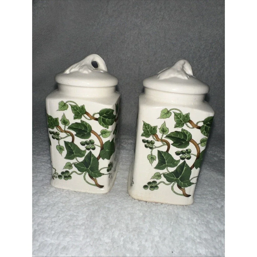 Ivy Ceramic Salt And Pepper Shaker Set Made In Japan